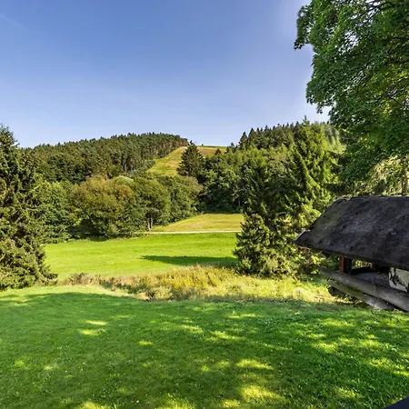 Zum Holzknecht Holiday home Willingen (Upland)